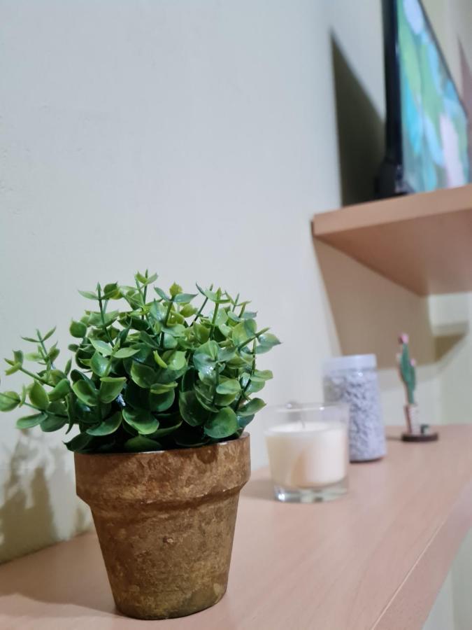 Ex-Block District Charming Studio Apartment With Treeish Sorrounding View! Tirana Exteriör bild